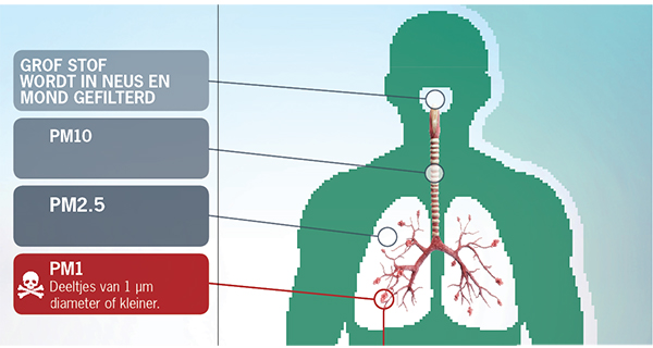 Partículas en los pulmones. 